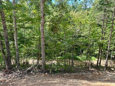 424- TRACT 4 Kentucky 577, Fogertown, KY 40962 - photo 6