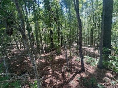 0 Rocky Knob Rd unit 22483768, Sylvania, GA 30467 - photo 3