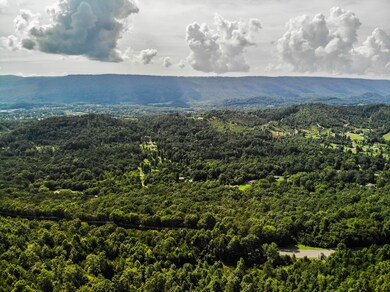 DJI_0212
