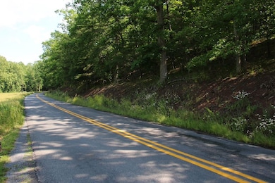 859 Brush Creek Rd, Winchester, VA 22603 - photo 6