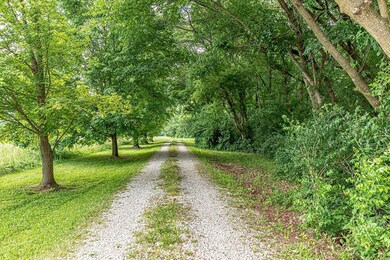 6558 Schiermeier Rd, Freeburg, IL 62243 - photo 4