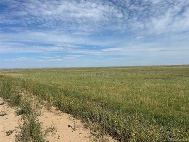 0 2a-5 unit REC9844697, Ramah, CO 80832 - photo 2