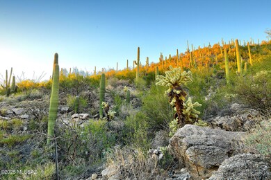 2661 E Calle Sin Ruido unit 204, Catalina Foothills, AZ 85718 - photo 6