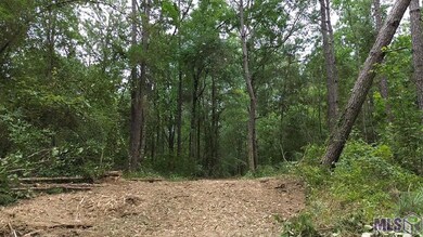 Tract C Whiskey Ln unit C, Tickfaw, LA 70466 - photo 5