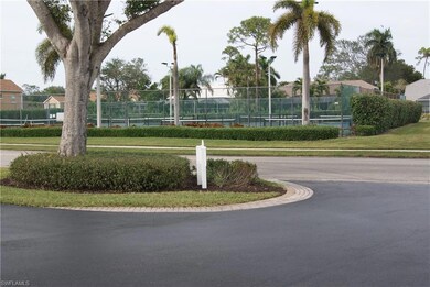 tennis anyone