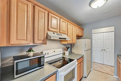 24 Village Park Dr unit 1B, Fishkill, NY 12524 - photo 6