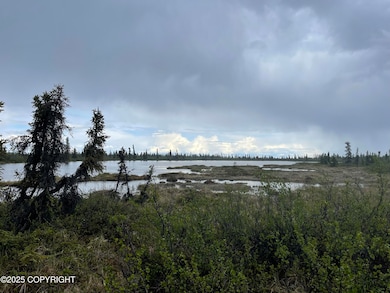 Tract J Old Lake Louise (Trail) Rd, Glennallen, AK 99588 - photo 2