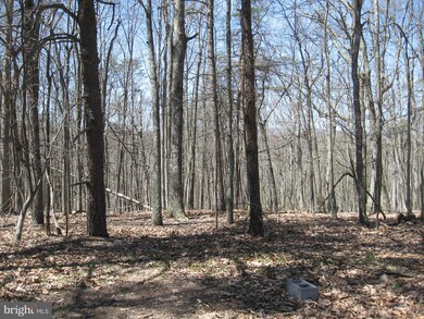 9 Deerwood Ln, Berkeley Springs, WV 25411 - photo 3