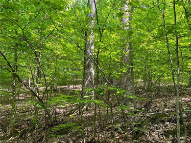 0 Stone Quarry Rd unit 4463440, Danville, OH 43014 - photo 7