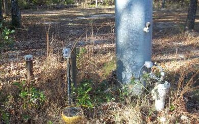 4151 288th St, Branford, FL 32008 - photo 3