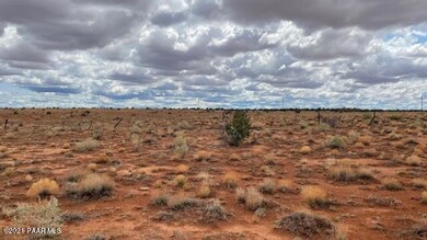 IMG_9849 (2)
