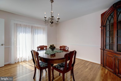 7407 Lanham Rd, Falls Church, VA 22043 - photo 6