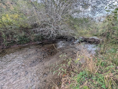 370 Boiling Springs Rd, Murphy, NC 28906 - photo 3