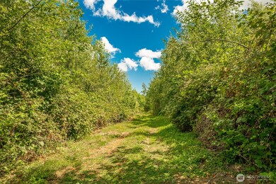 0 Sunrise Rd unit NWM2426084, Custer, WA 98240 - photo 6