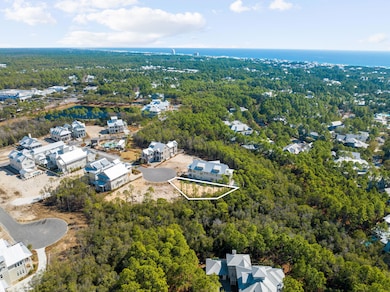 72 String Lily Cove, Santa Rosa Beach, FL 32459 - photo 3