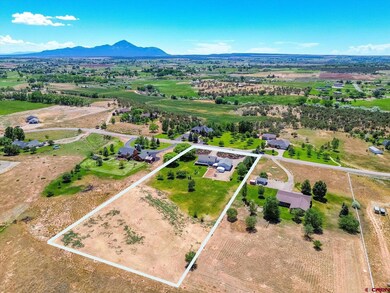 25544 Road North 6 Loop, Cortez, CO 81321 - photo 6