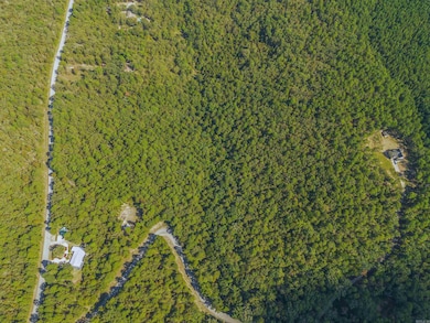 000 Dwight Little Rd, Roland, AR 72135 - photo 7