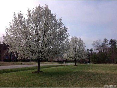 Front Yard in the Spring