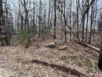 Map 36 Lot 72 A Varney Rd, Barnstead, NH 03225 - photo 2
