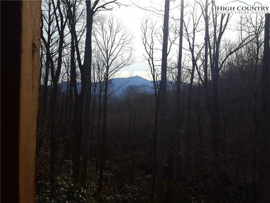 208 Artists Aly, Blowing Rock, NC 28605 - photo 3