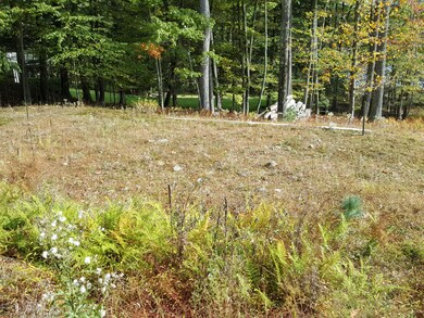 196 Fawn Lake Dr, Lackawaxen Township, PA 18428 - photo 7