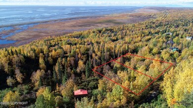 L9 & L10 Feodosia Dr, Anchorage, AK 99516 - photo 3