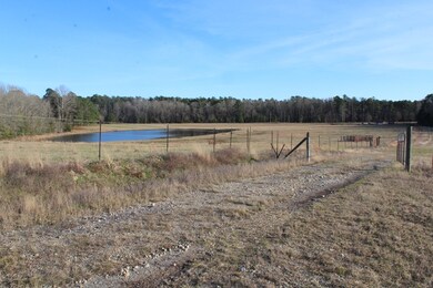 0 Highway 221 unit 451326, McDuffie, GA 30808 - photo 5