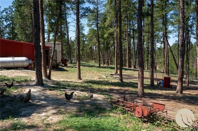 448 W Parrot Creek Rd, Roundup, MT 59072 - photo 6