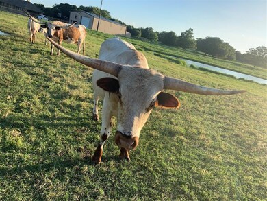 7695 Zion Hill Rd, Poolville, TX 76487 - photo 5