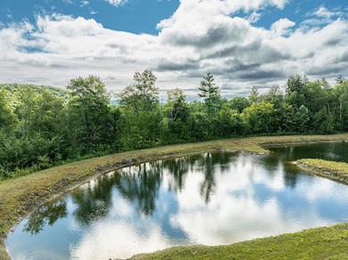 00 W Hill Rd S, Jamaica, VT 05343 - photo 2