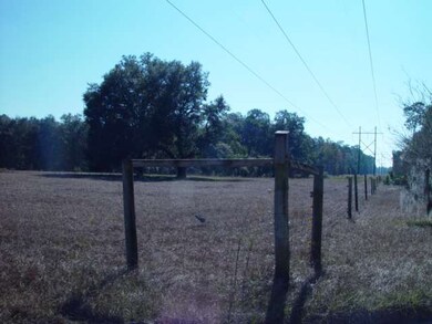 xx Lost Creek Ln unit x, Crawfordville, FL 32327 - photo 3