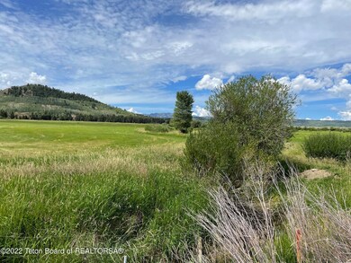 IMG_1959