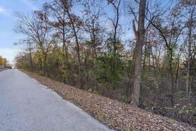 24 & 25 Lakeview Dr, Hollister, MO 65672 - photo 2