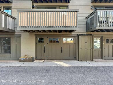 720 W Hopkins Ave unit D, Aspen, CO 81611 - photo 2