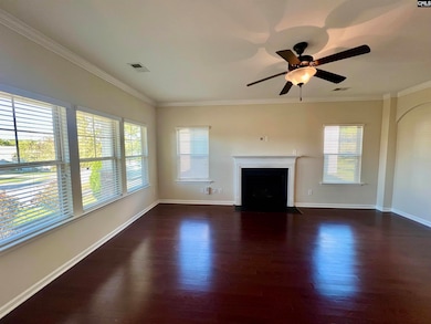 297 Massey Cir, Chapin, SC 29036 - photo 4