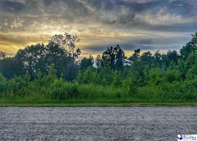 Lot 14 S McLaurin Lake Cir, Dillon, SC 29536 - photo 2