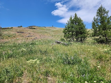 0 Tbd Roundabout Rd unit 23912009, Tonasket, WA 98855 - photo 4