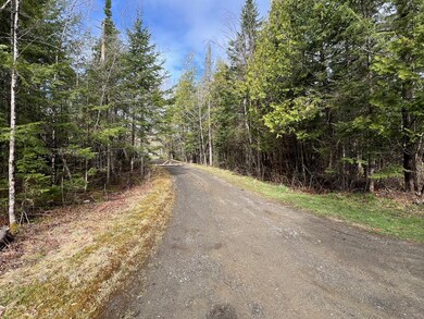 197 Shaw Rd, Dover Foxcroft, ME 04426 - photo 2