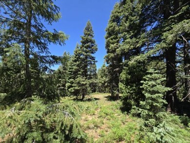 855 W Big Horn Cir, Duck Creek Village, UT 84762 - photo 5