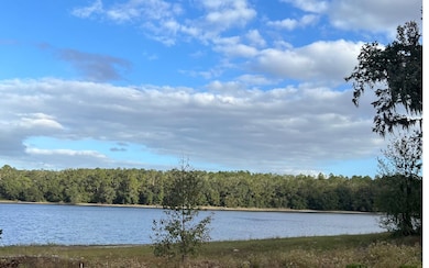 506 NW Fat Cat Ct, Lake City, FL 32055 - photo 3