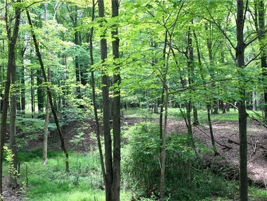 1555 Akins Rd, Broadview Heights, OH 44147 - photo 2