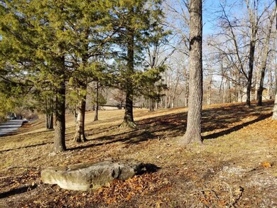 47 Canyon Forest Cir, Kimberling City, MO 65686 - photo 3