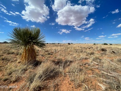 5494 Glasglow Dr, Snowflake, AZ 85937 - photo 3