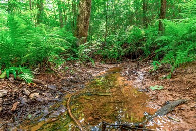 Lot 13 Shady Pine Trail, Ellijay, GA 30540 - photo 5