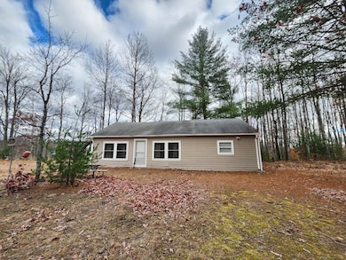 10544 N Lazy Ln, Bitely, MI 49309 - photo 2