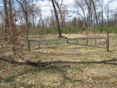 0 Peacock Trail Parcel ''D'', Baldwin, MI 49304 - photo 3