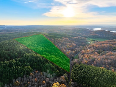 00 Sneed Rd, Decatur, TN 37322 - photo 5