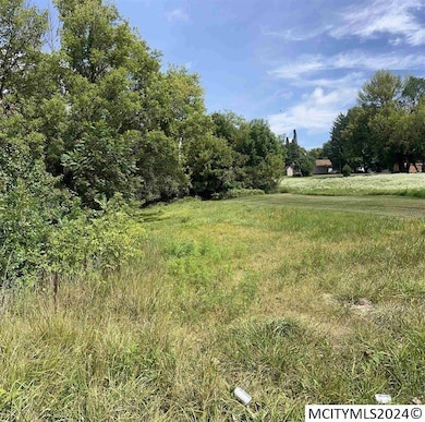 0 N Cedar unit 240237, Nora Springs, IA 50458 - photo 5