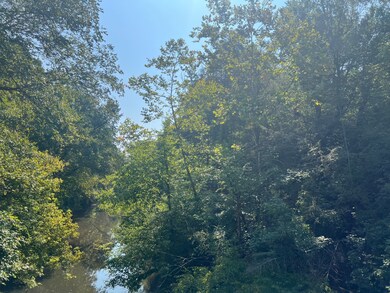 #1 Ambler Rd, Lousia, VA 23093 - photo 4