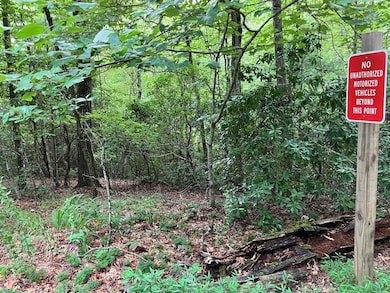 Lot 41 Floris Mountain Rd, Murphy, NC 28906 - photo 2